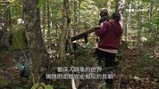 小动物 大旅行 第一季 Big Little Journeys Season 1 (2023)