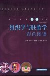 组织学与胚胎学彩色图谱_10863906