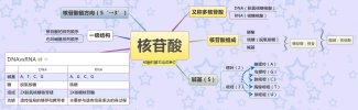 考研考证·各学科各专业·思维导图·汇总